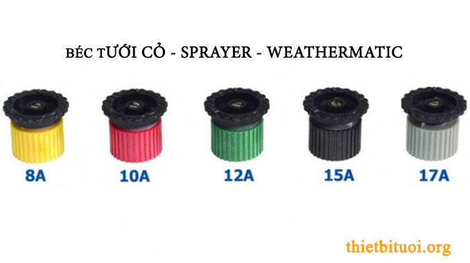 bec-tuoi-co-weathermatic