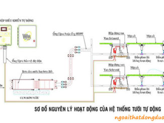 Hệ thống tưới nước tự động