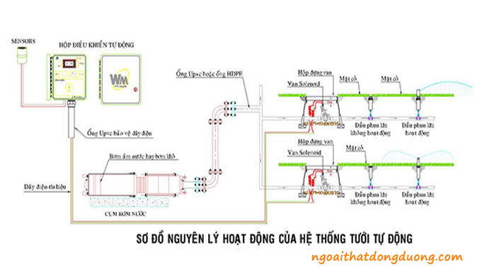 Hệ thống tưới nước tự động