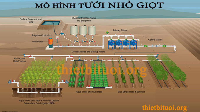 Tưới nước nhỏ giọt bằng năng lượng mặt trời  Mô hình tưới nước tự động