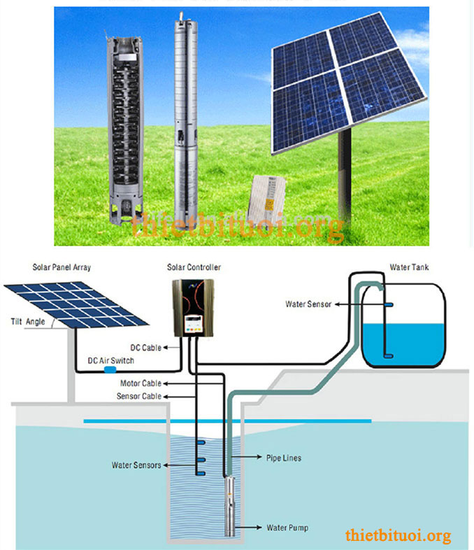 Tưới nước nhỏ giọt bằng pin năng lượng mặt trời