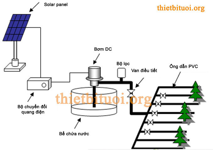 Tưới nhỏ giọt bằng năng lượng mặt trời