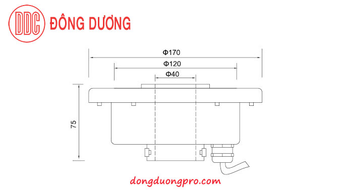 Thông số kỹ thuật đèn led dưới nước 12w, 36w  DDL-170GK