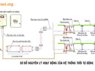 Nguyên lý hoạt động cây tưới tự động