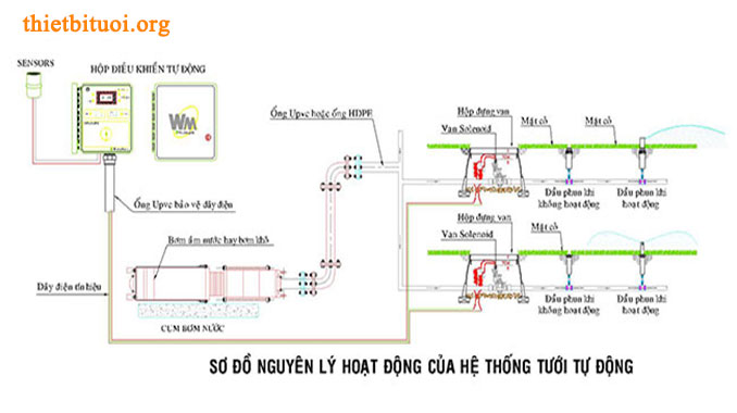 Nguyên lý hoạt động cây tưới tự động