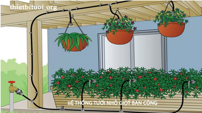 lap-dat-he-thong-tuoi-nho-giot-ban-cong