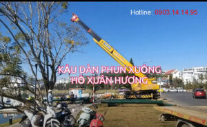Đài phun nước phao nổi chuyên nghiệp